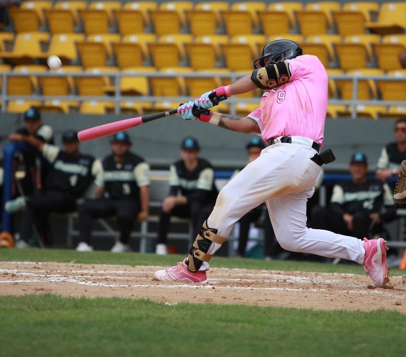 Royal Dual Ankle Guard - Gold/Black - Performance Fabric - Image 3