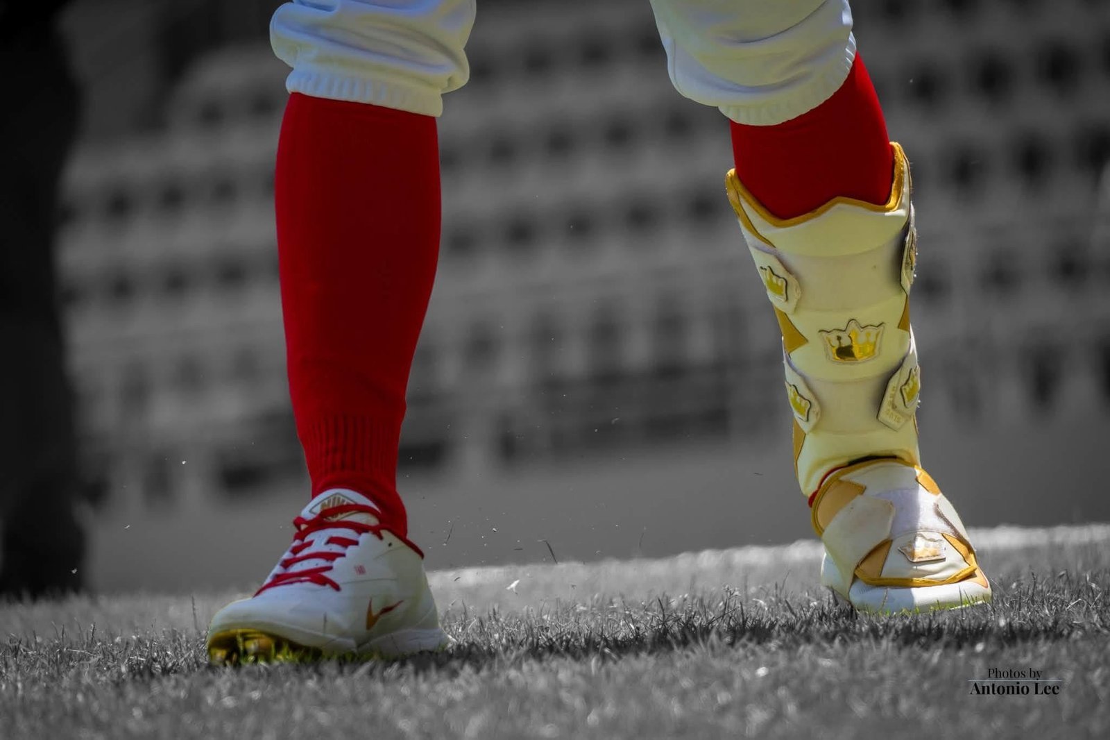 Royal Legacy Dual Ankle Leg Guard - White/Gold - Elite Leather - Image 3